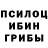 Псилоцибиновые грибы Cubensis DWN KAOMWN